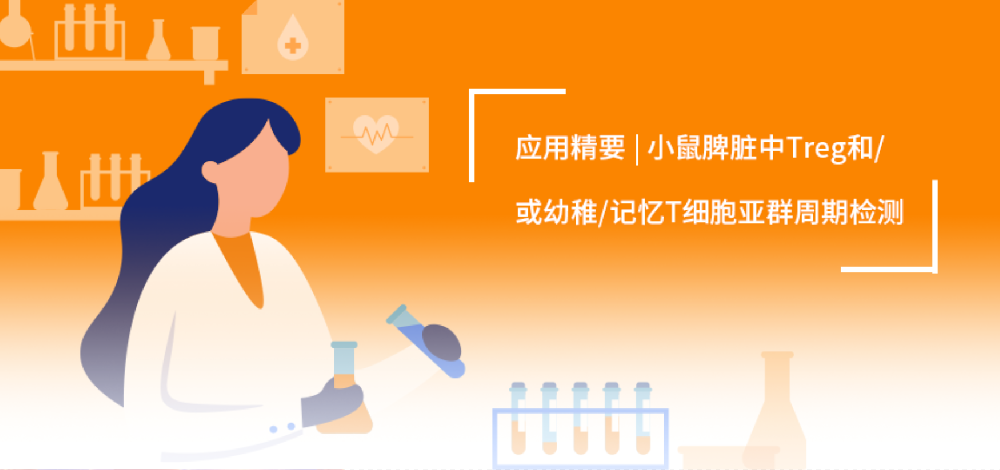 應用精要|OMIP-079：小鼠脾臟中CD4T和CD8T的幼稚/記憶亞型和Treg亞群的周期檢測