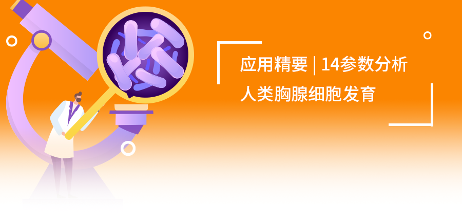 應(yīng)用精要|OMIP-73：14色方案揭秘人類胸腺細胞發(fā)育圖譜